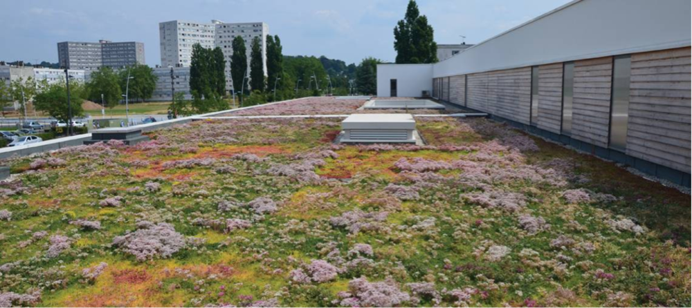 Proposition Projet 58 : Végétaliser le toit des bâtiments communaux