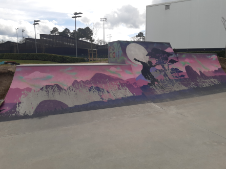 Image d'illustration pour : RENDRE UNE PARTIE DU SKATE PARK ACCESSIBLE AUX NON EXPERTS