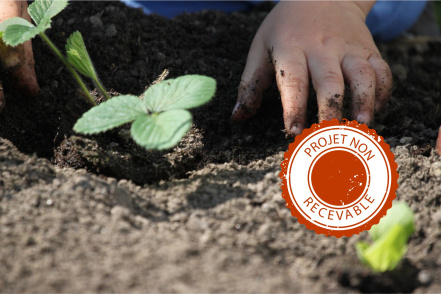 Image d'illustration pour : Plantation de potagers et végétalisation