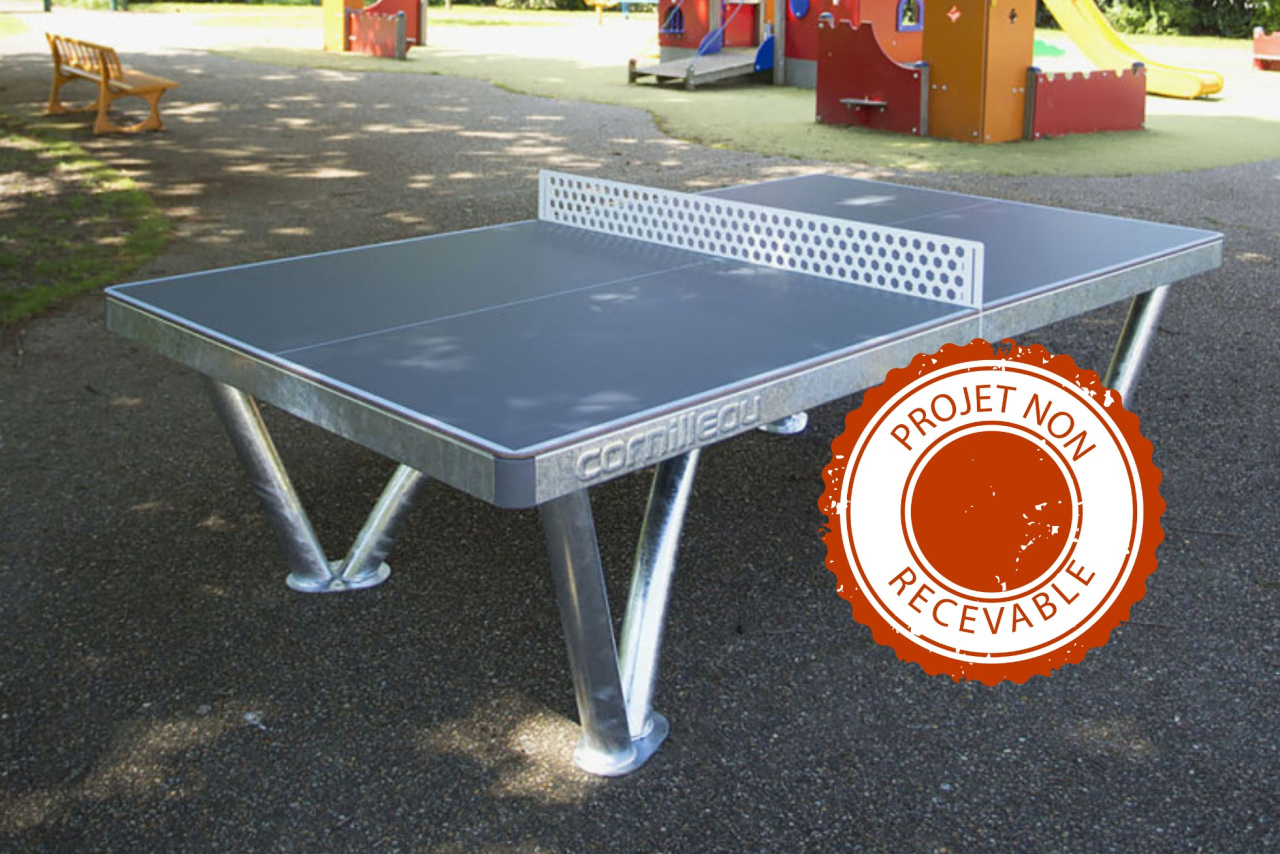 Image d'illustration pour : Installation table de ping pong square Pineau