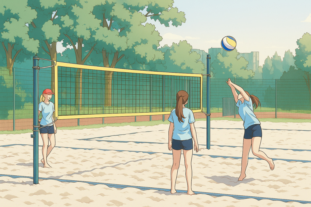 Image d'illustration pour : N°24 - Terrain beach volley multi usage en sable