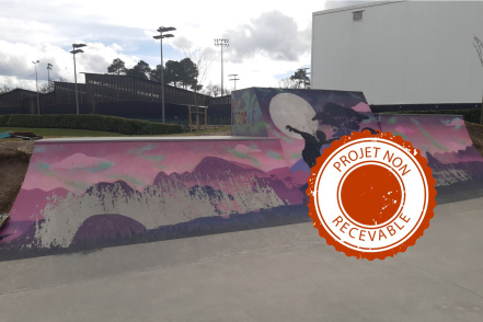 Image d'illustration pour : RENDRE UNE PARTIE DU SKATE PARK ACCESSIBLE AUX NON EXPERTS